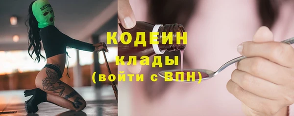 ешки Аркадак