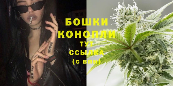 PSILOCYBIN Арсеньев