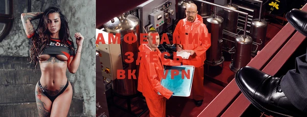 ешки Аркадак